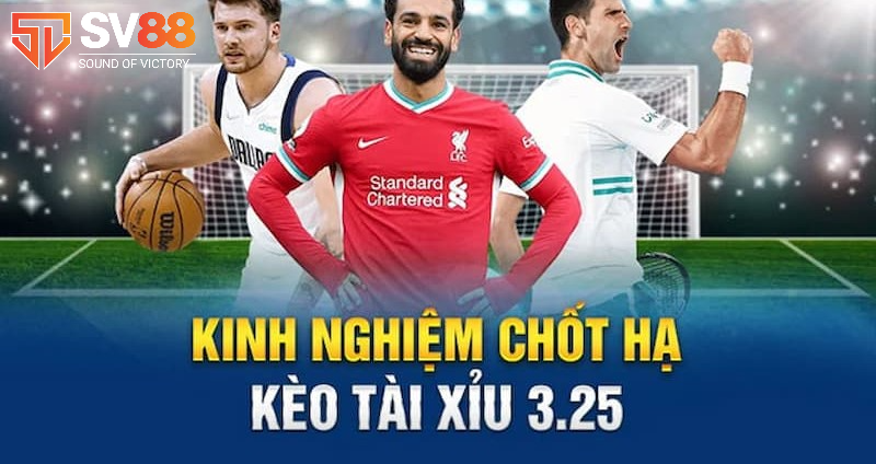 Kèo Tài 3.25 Là Gì? Cách Đọc Kèo Chuẩn & Bí Kíp Chơi Hiệu Quả 5 Bí kíp đánh kèo tài 3.25 thắng lớn từ cao thủ