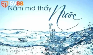 giải mã giấc mơ thấy nước