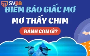 giải mã giấc mơ thấy chim