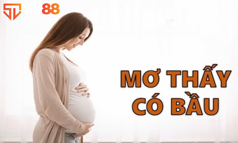 Giải Mã Giấc Mơ Có Thai: Ý Nghĩa Gì? Nên Đánh Đề Số Mấy? 3 Giải mã những giấc mơ có thai thường gặp