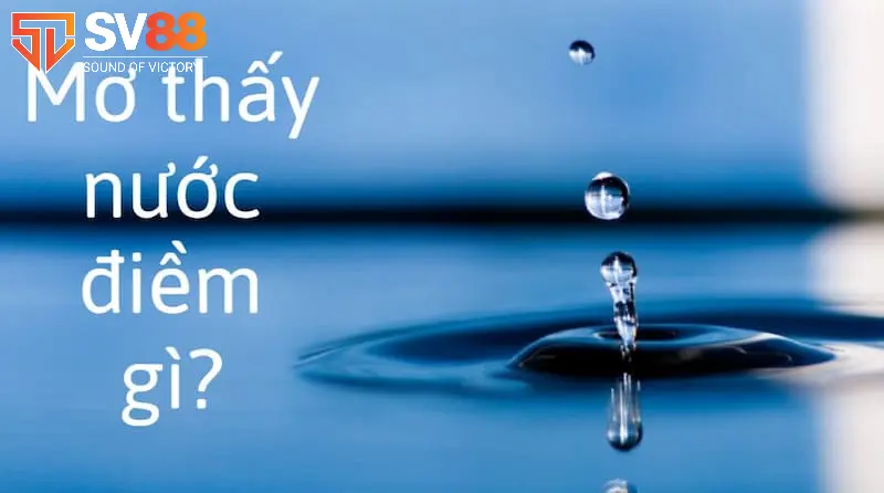 Giải Mã Giấc Mơ Thấy Nước: Lành Hay Dữ? Đánh Lô Đề Con Gì? 2 Mơ thấy nước là dự báo điềm lành hay dữ?
