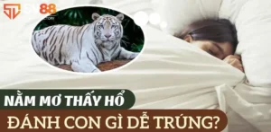 giải mã giấc mơ thấy hổ