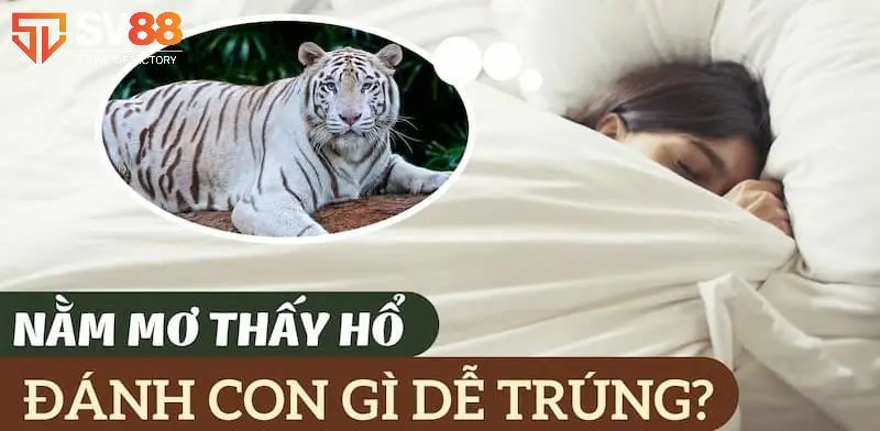 giải mã giấc mơ thấy hổ