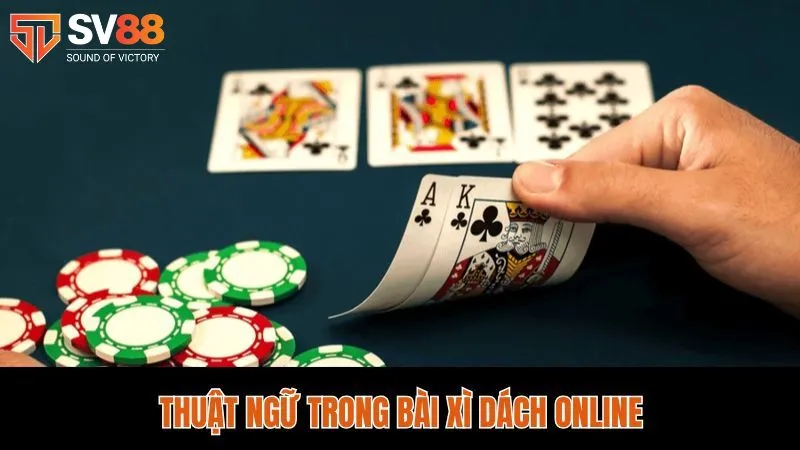 Xì Dách Online Sv88 - Bật Mí Mẹo Chơi Thắng Đậm Cho Tân Thủ 3 Thuật ngữ người chơi xì dách cần phải nắm rõ